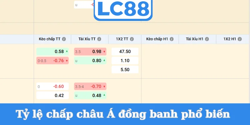 ty-le-chap-chau-a-dong-banh-pho-bien